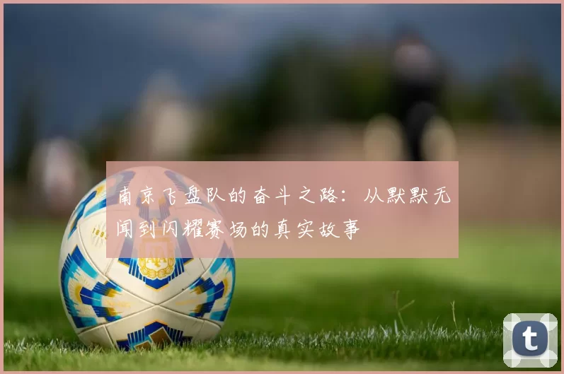 南京飞盘队的奋斗之路：从默默无闻到闪耀赛场的真实故事