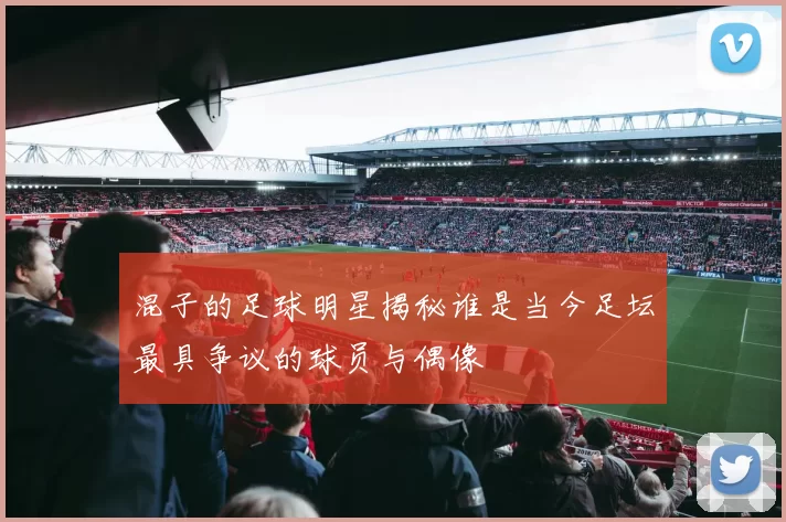 混子的足球明星揭秘谁是当今足坛最具争议的球员与偶像