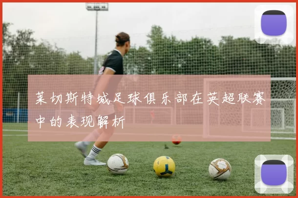 莱切斯特城足球俱乐部在英超联赛中的表现解析